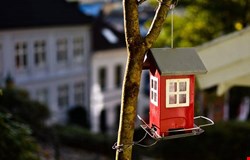 اجاره آپارتمان با 3 اتاق