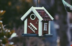 اجاره آپارتمان با 2 اتاق